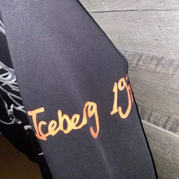 NWT - Gilmar Iceberg Tweety Hoodie - Picture 7 of 7